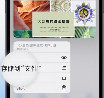 田林apple维修中心分享iPhone文件应用中存储和找到下载文件