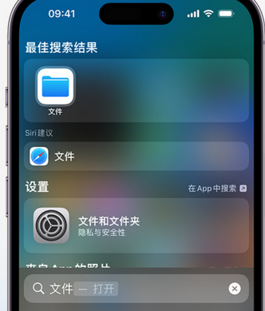 田林apple维修中心分享iPhone文件应用中存储和找到下载文件