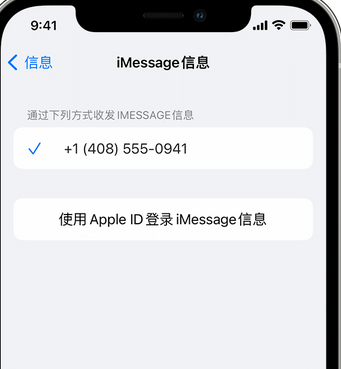 田林apple维修iPhone上无法正常发送iMessage信息 