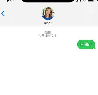 田林apple维修iPhone上无法正常发送iMessage信息