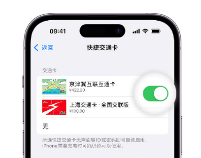 田林apple维修点分享iPhone上更换Apple Pay快捷交通卡手绘卡面 