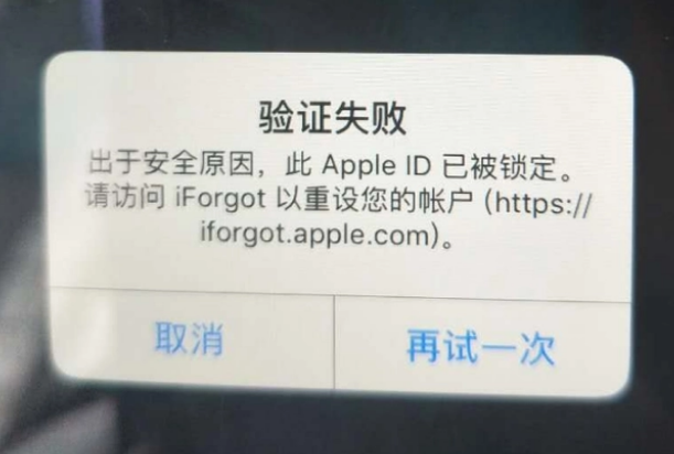 田林iPhone维修分享iPhone上正常登录或使用AppleID怎么办 