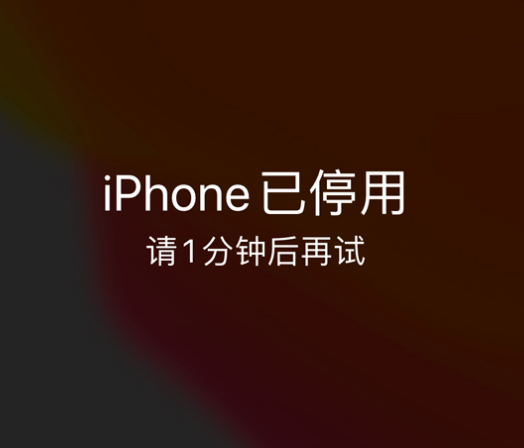 田林苹果手机维修分享:iPhone 显示“不可用”或“已停用”怎么办？还能保留数据吗？ 