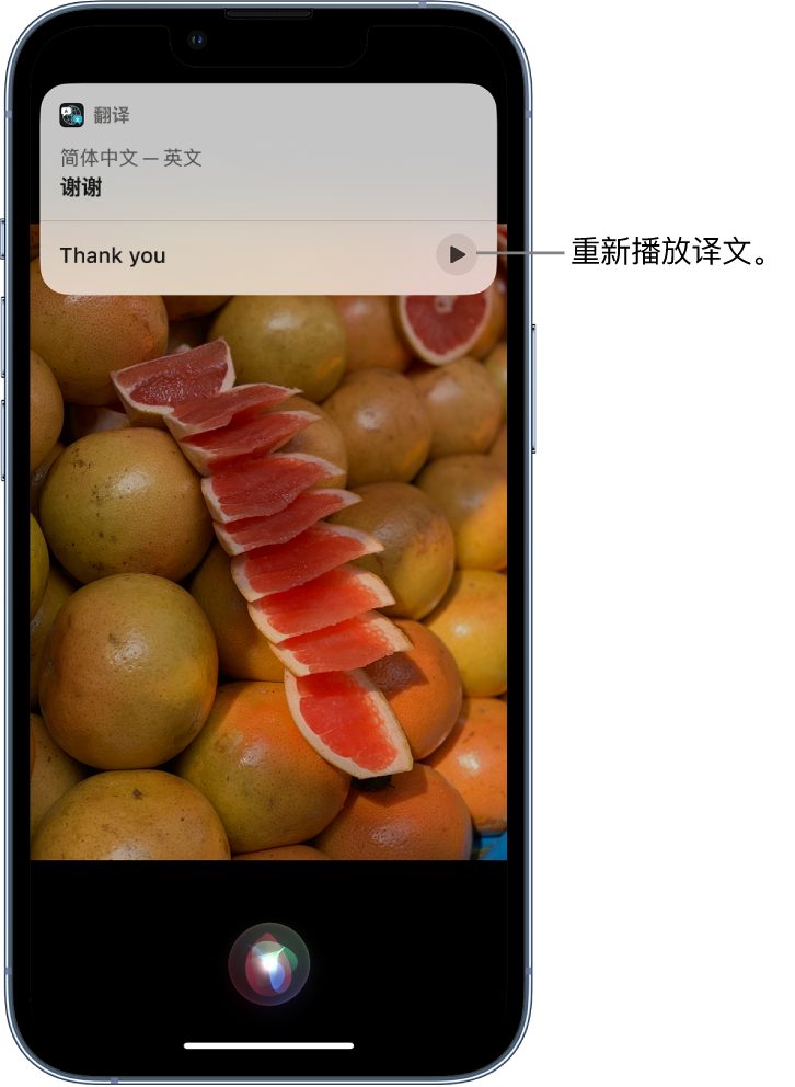 田林苹果14维修分享 iPhone 14 机型中使用 Siri：了解 Siri 能帮你做什么 