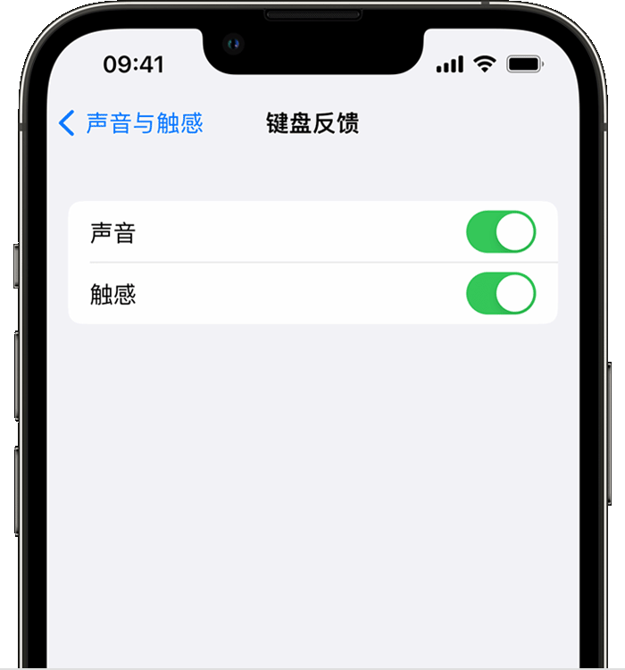 田林苹果14维修分享iPhone 14 系列机型如何开启键盘声音或触感反馈 