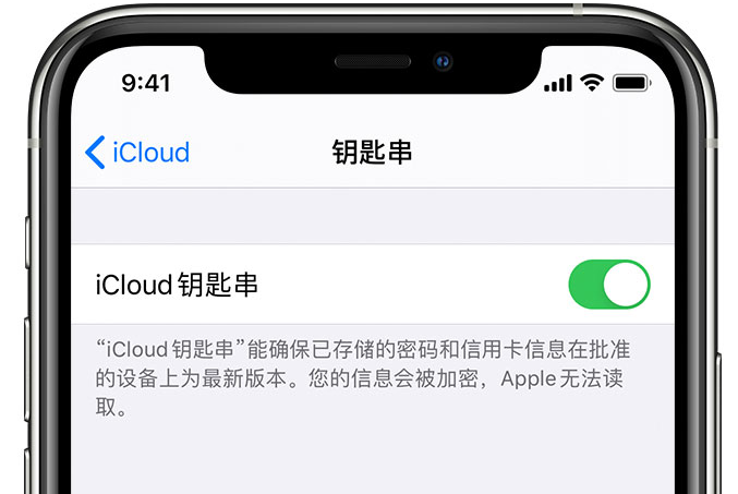 田林苹果手机维修分享在 iPhone 上开启 iCloud 钥匙串之后会储存哪些信息 