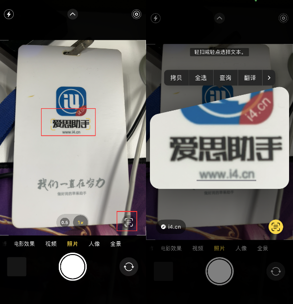 田林苹果手机维修分享升级iOS 16后如何通过相机翻译文本 