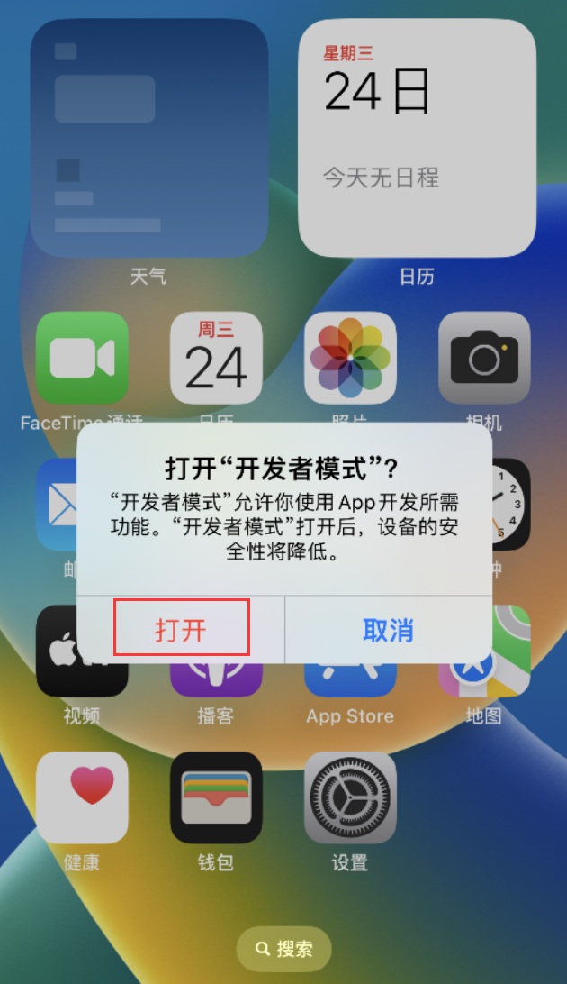 田林苹果手机维修分享如何打开开发者模式 