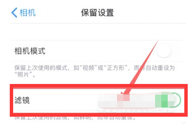 田林苹果13维修分享iPhone13拍照有绿点是怎么回事 