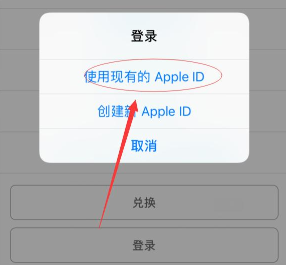 田林苹果手机维修分享两台iPhone设备可以同时登录一个Apple ID吗 
