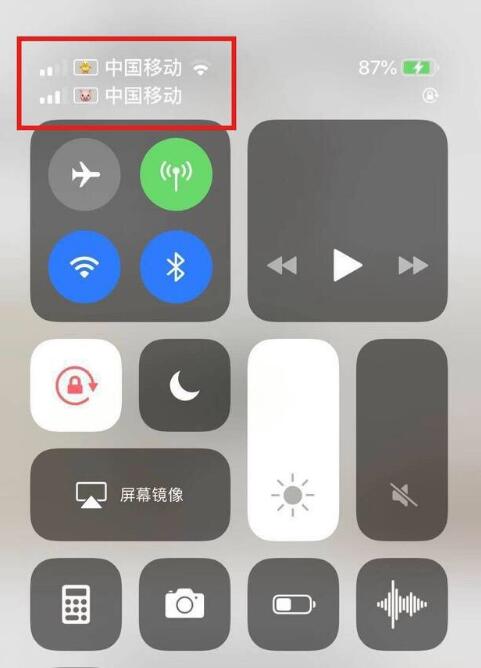田林苹果手机维修分享为 iPhone 12 双卡设置标签 