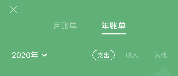 田林苹果手机维修分享如何在 iPhone 上查看支付宝和微信年支出账单 